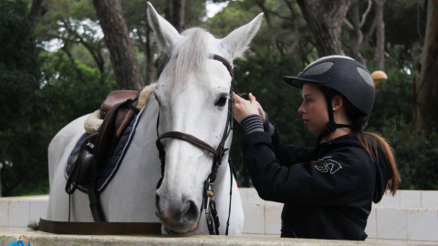 Horse Riding Lessons