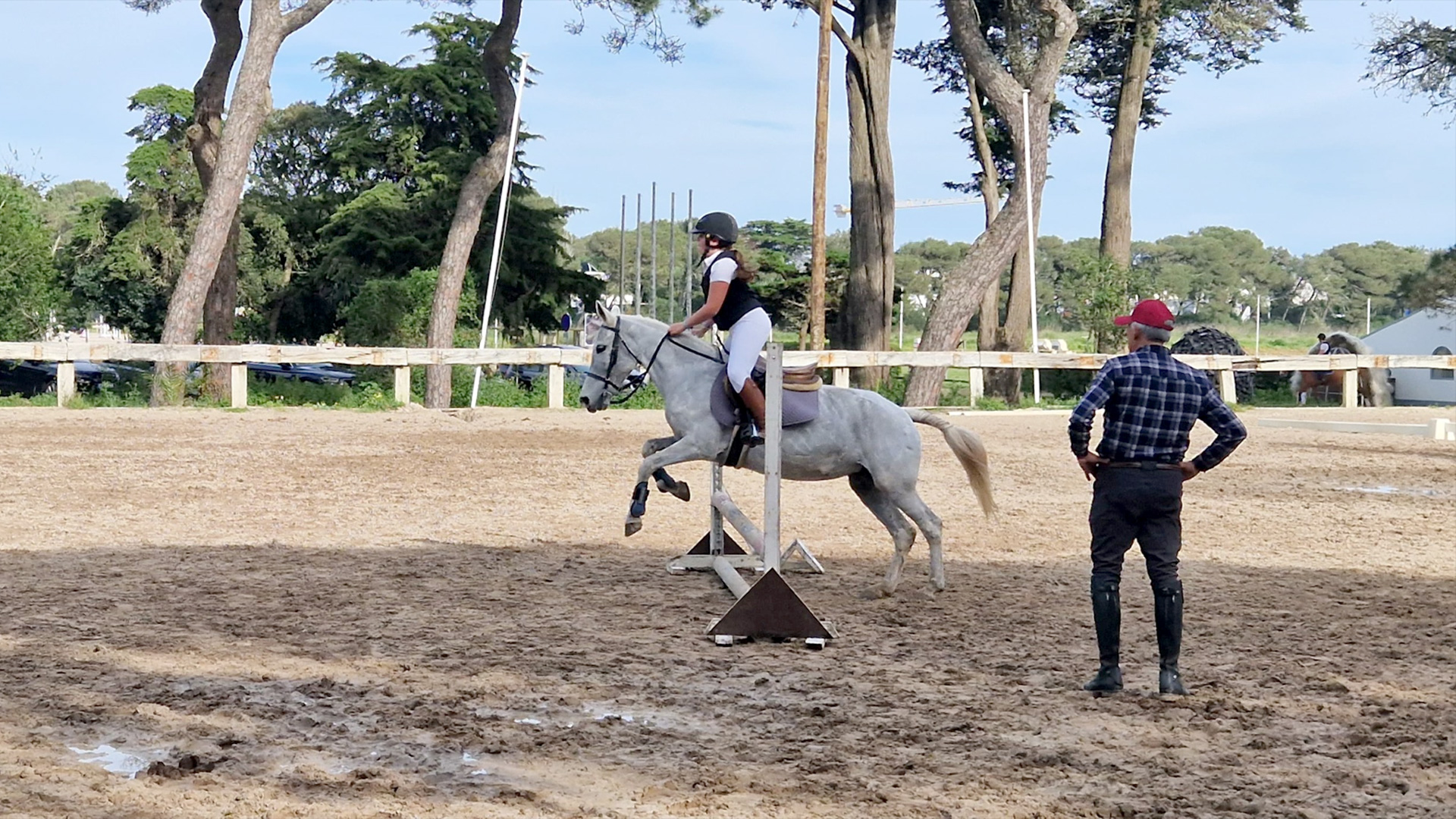 Horse Riding Lessons