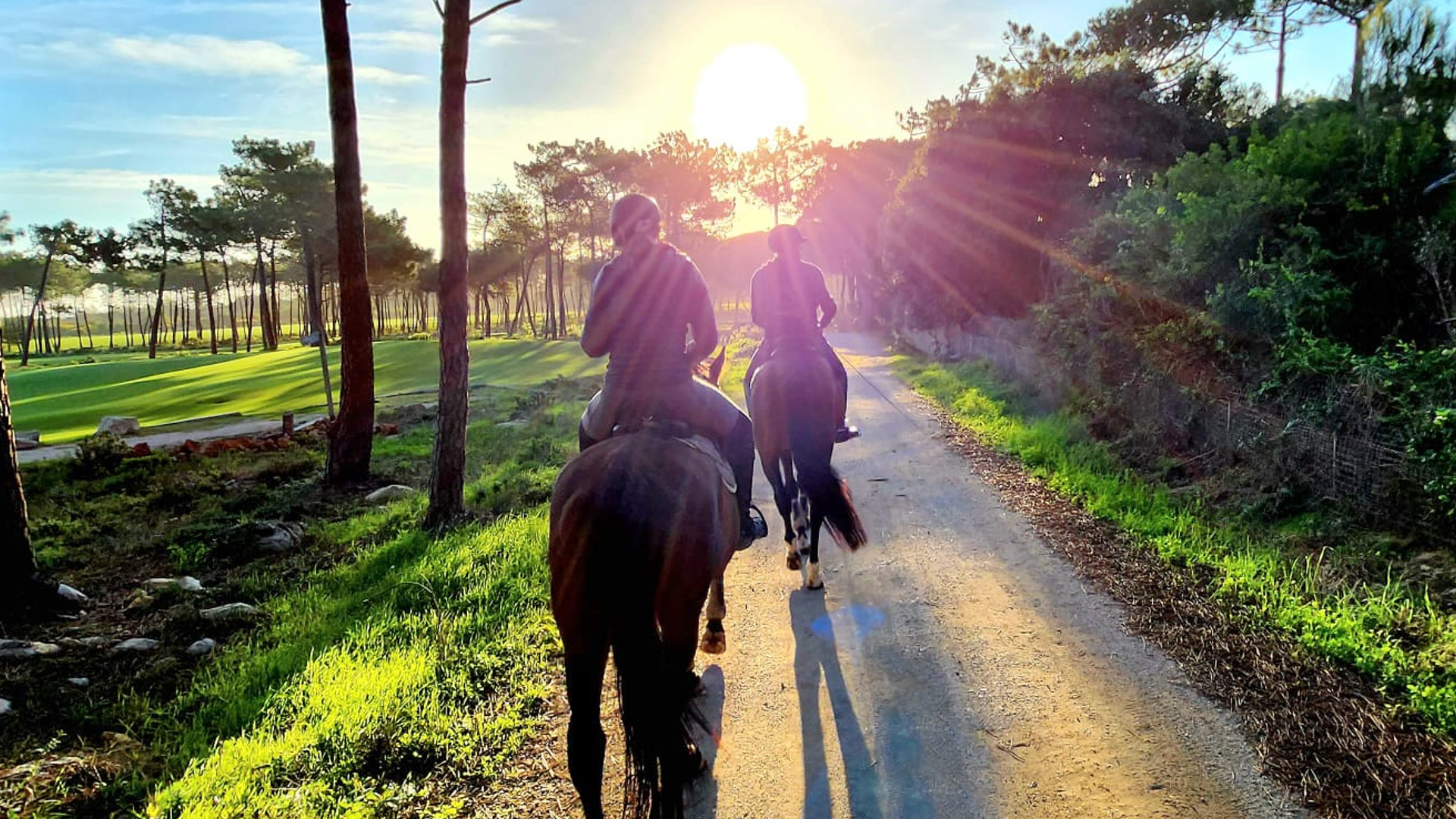 Horse Riding
