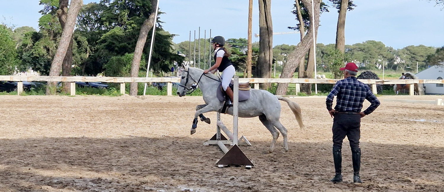 Horse Riding Lessons