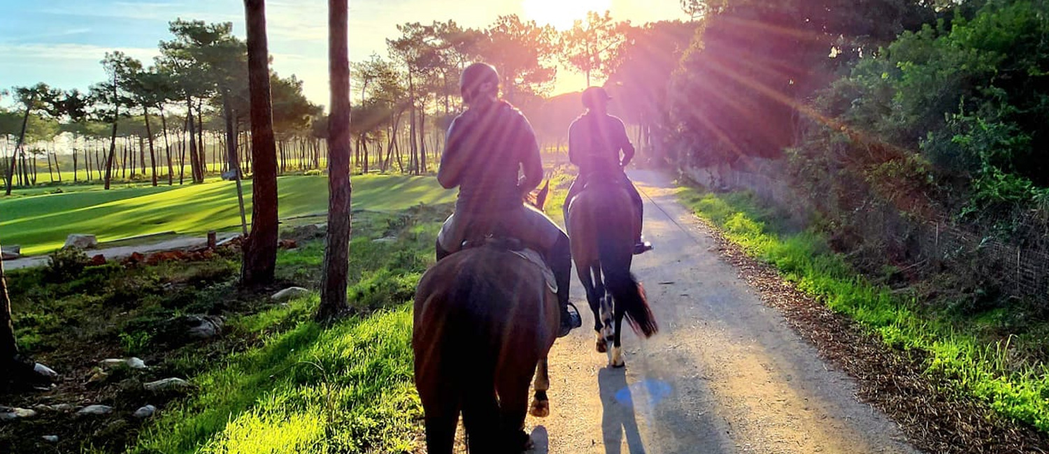 Passeios a Cavalo