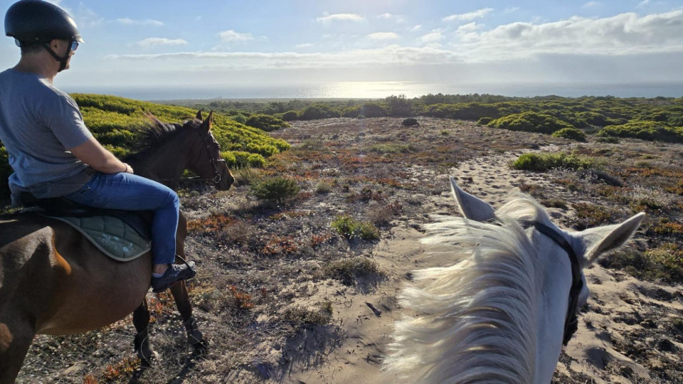 Horse Riding