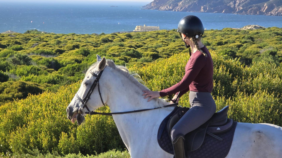 Horse Riding