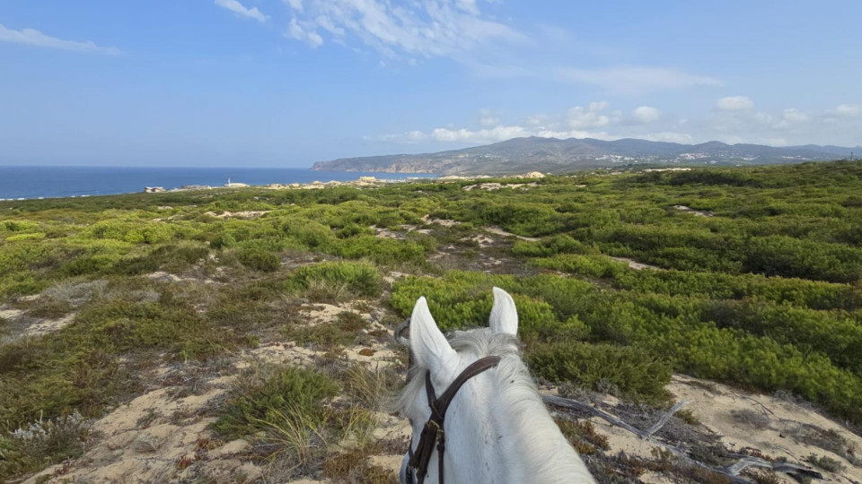 Horse Riding