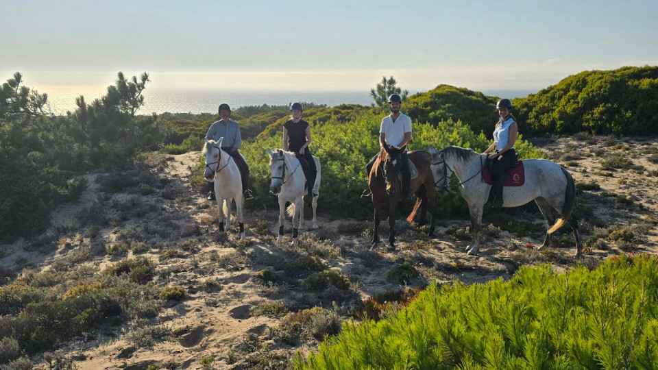 Horse Riding
