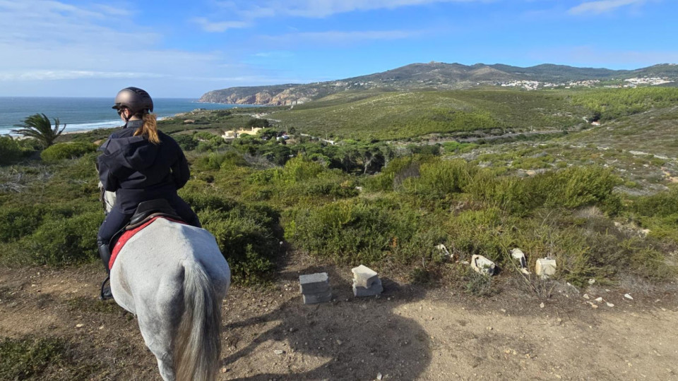 Horse Riding