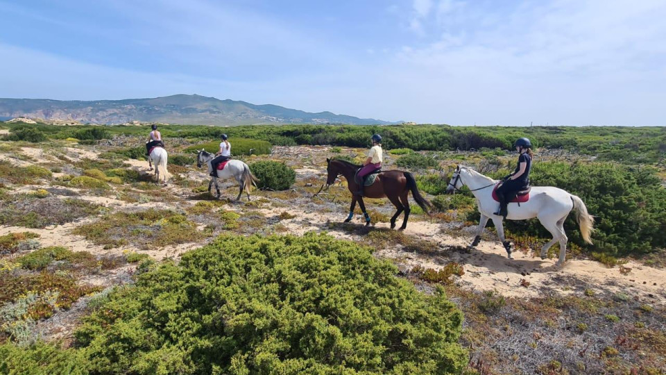 Horse Riding