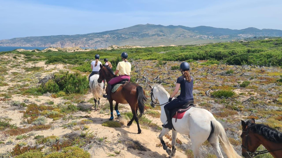 Horse Riding