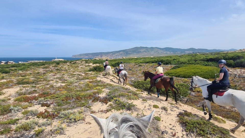 Horse Riding