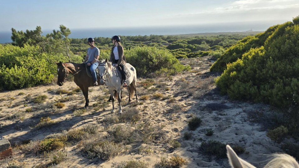 Horse Riding