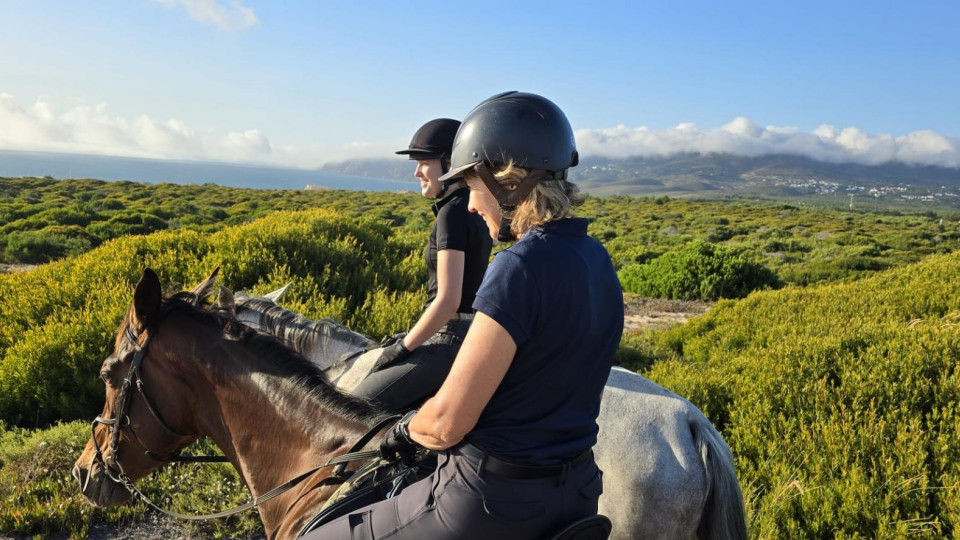 Horse Riding