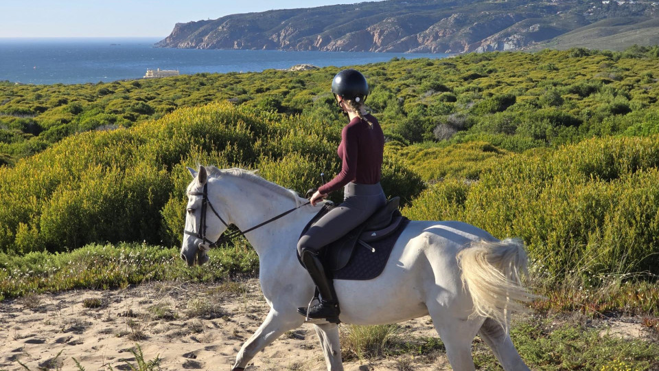 Horse Riding