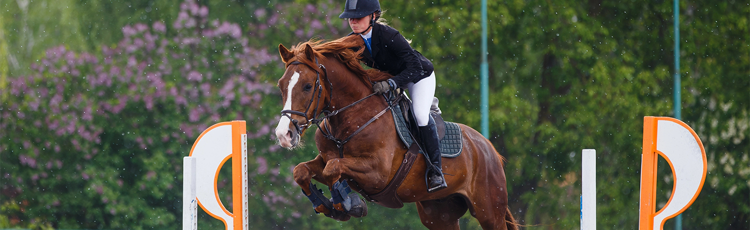 Rider training, in this background image encouraging contact.