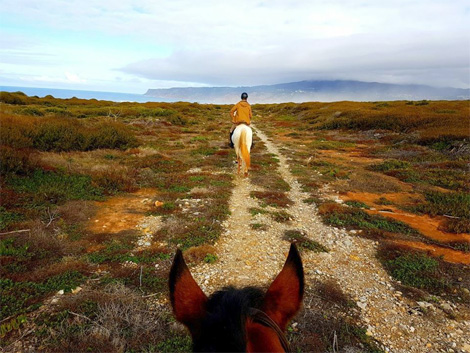 Passeios a cavalo