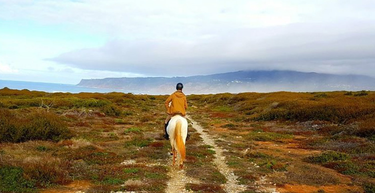 Passeios a Cavalo